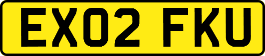 EX02FKU