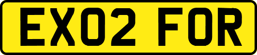 EX02FOR