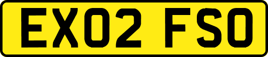 EX02FSO