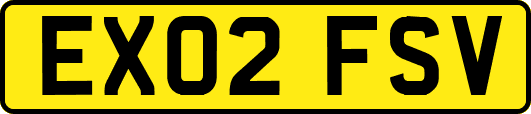 EX02FSV