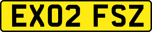 EX02FSZ