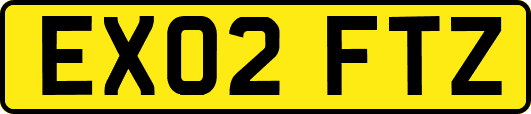 EX02FTZ