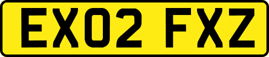 EX02FXZ
