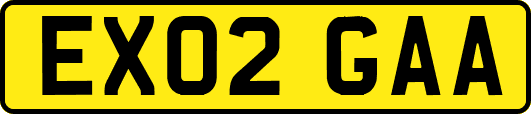 EX02GAA