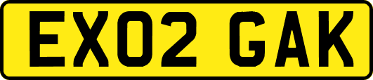EX02GAK