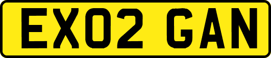 EX02GAN