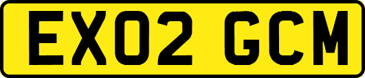 EX02GCM