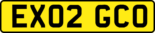 EX02GCO