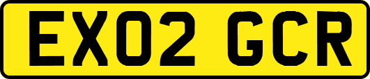 EX02GCR