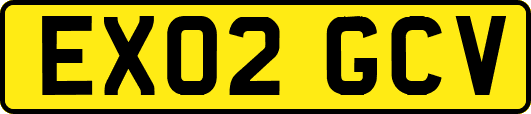 EX02GCV
