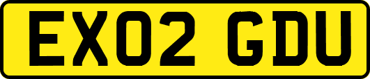 EX02GDU