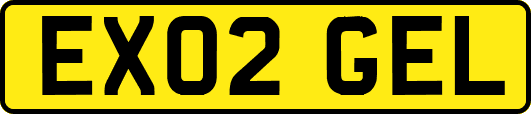 EX02GEL