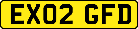 EX02GFD