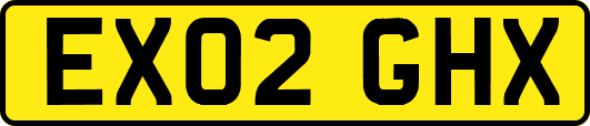 EX02GHX