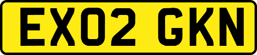 EX02GKN