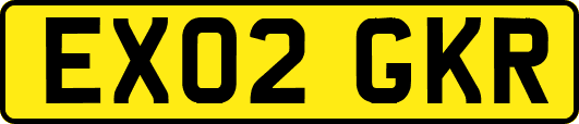 EX02GKR