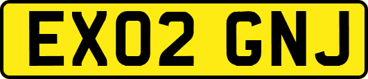 EX02GNJ