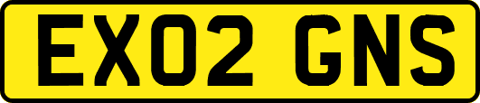 EX02GNS
