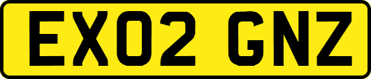 EX02GNZ