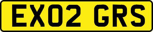 EX02GRS