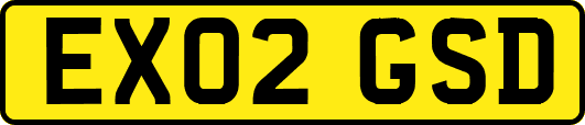 EX02GSD