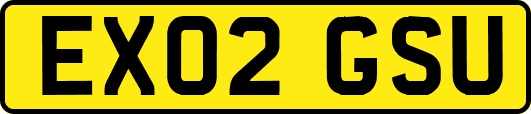 EX02GSU