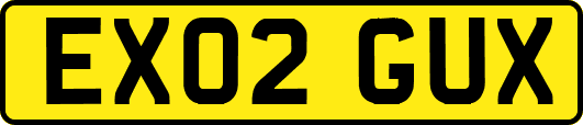 EX02GUX