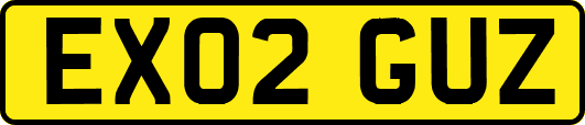 EX02GUZ