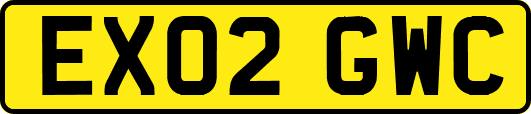 EX02GWC