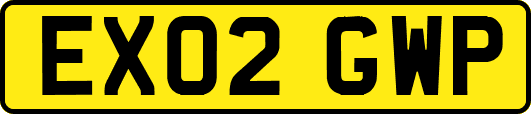 EX02GWP
