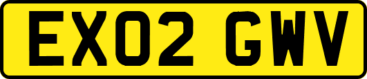 EX02GWV