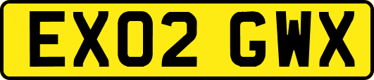 EX02GWX