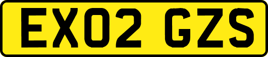 EX02GZS