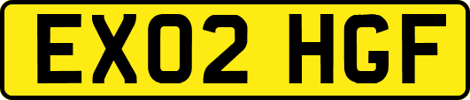 EX02HGF