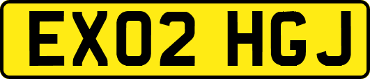 EX02HGJ
