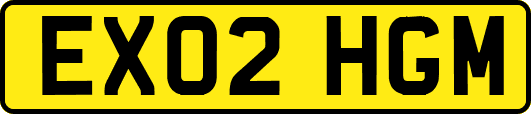 EX02HGM