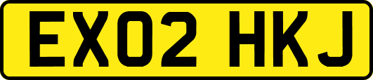 EX02HKJ