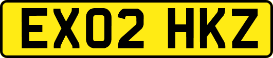 EX02HKZ