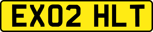 EX02HLT