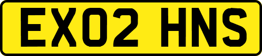EX02HNS