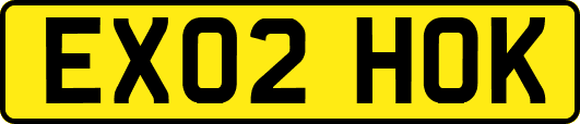 EX02HOK