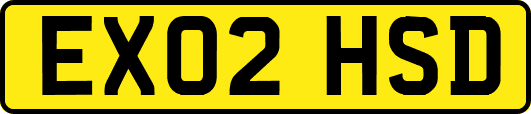 EX02HSD