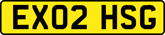 EX02HSG