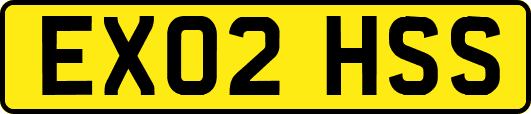 EX02HSS