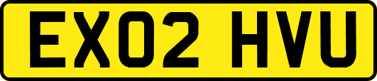 EX02HVU