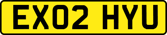 EX02HYU