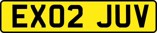 EX02JUV