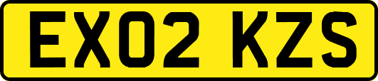 EX02KZS