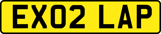 EX02LAP