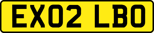 EX02LBO
